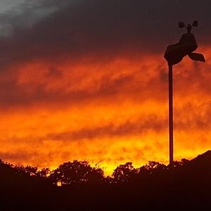 Meet your Posher, Kellie